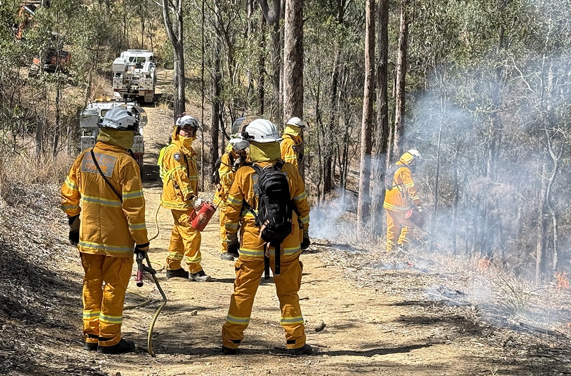 Firefighters in the bush